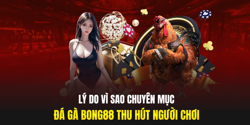 Lý do vì sao chuyên mục đá gà Bong88 thu hút người chơi