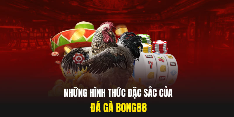 Những hình thức đặc sắc của đá gà Bong88